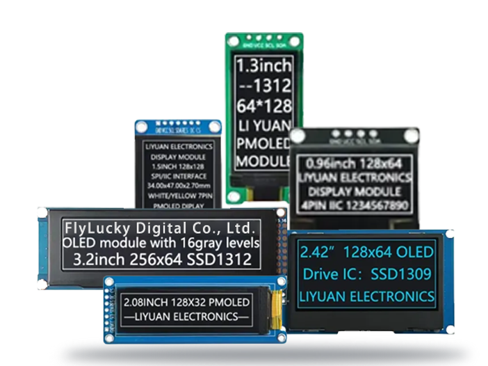 Display Module Manufacturer